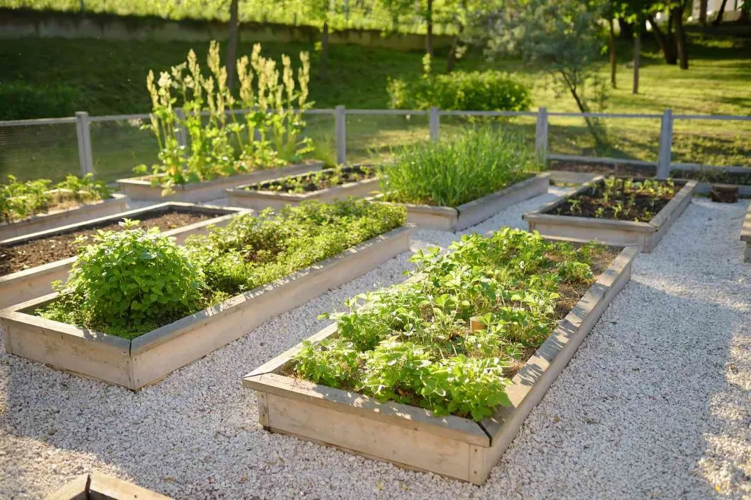 Plan Your Garden Layout