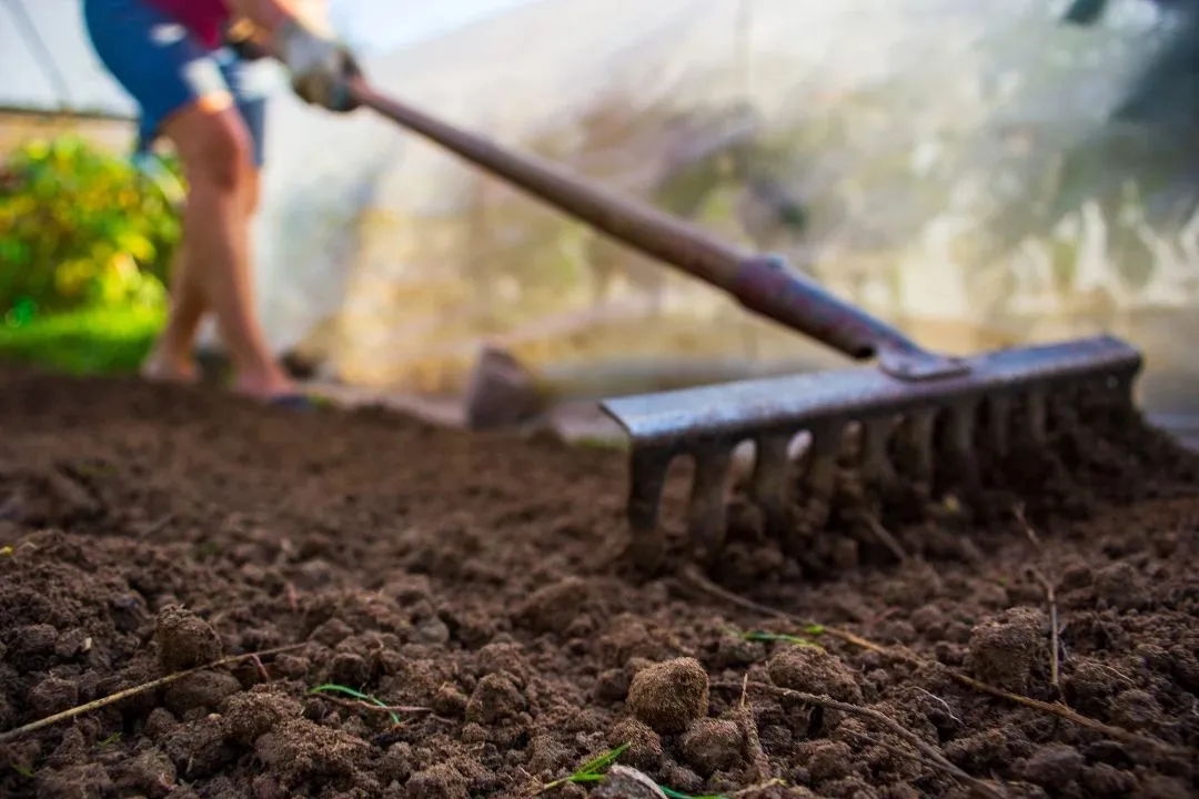 Prepare the Soil
