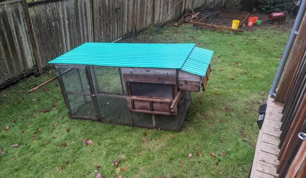 The Basic Backyard Coop