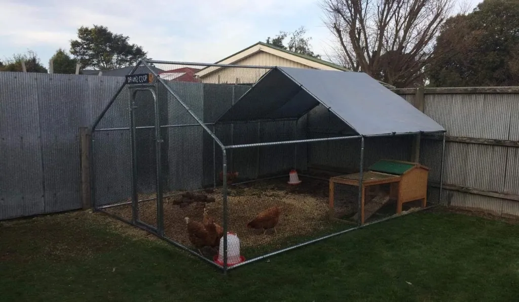 The Greenhouse Coop