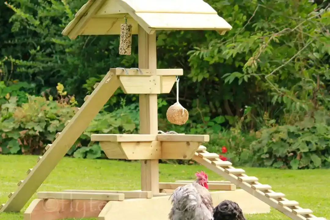 A-Frame Chicken Jungle Gym