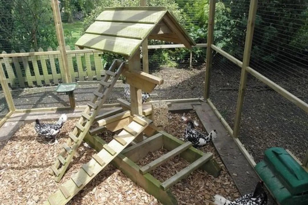 Climbing Ramps and Platforms