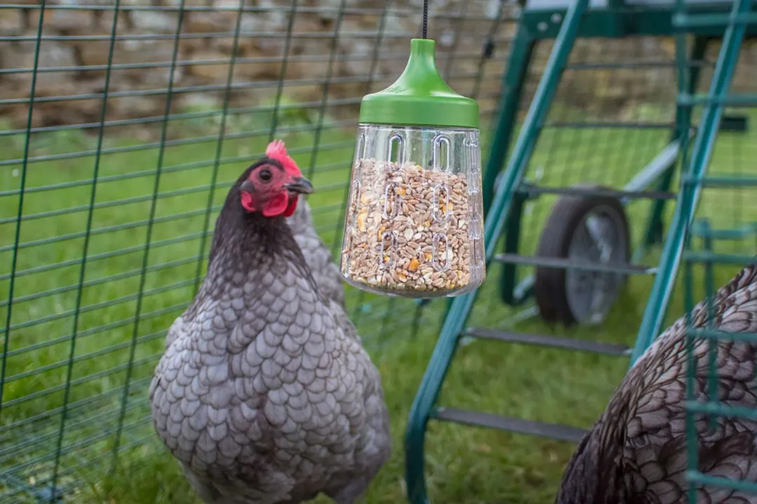 Hanging Treat Dispensers