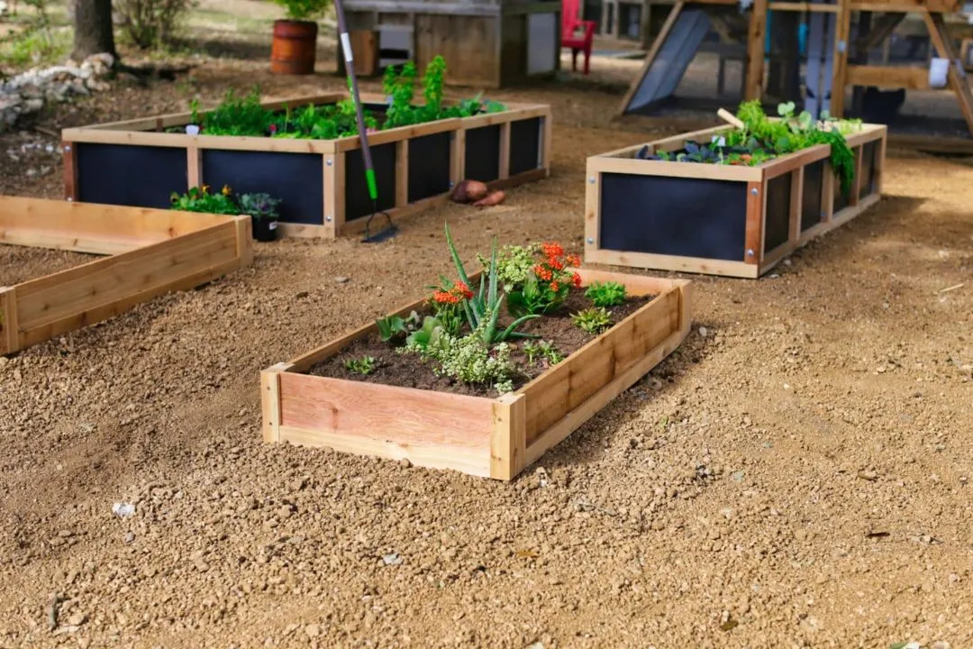 Herb Gardens