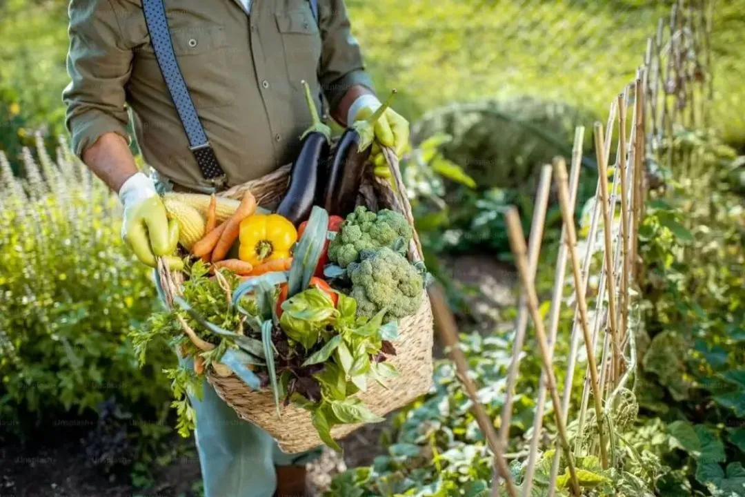 Maximizing Your Harvest