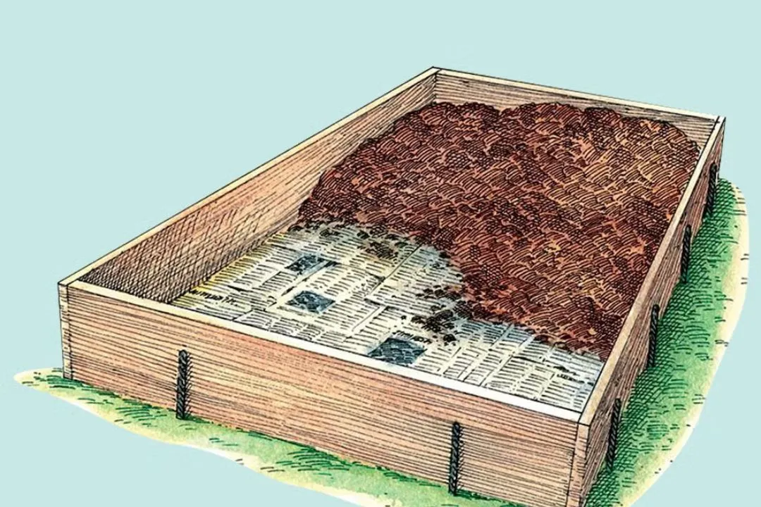 Prepare the Soil Mix