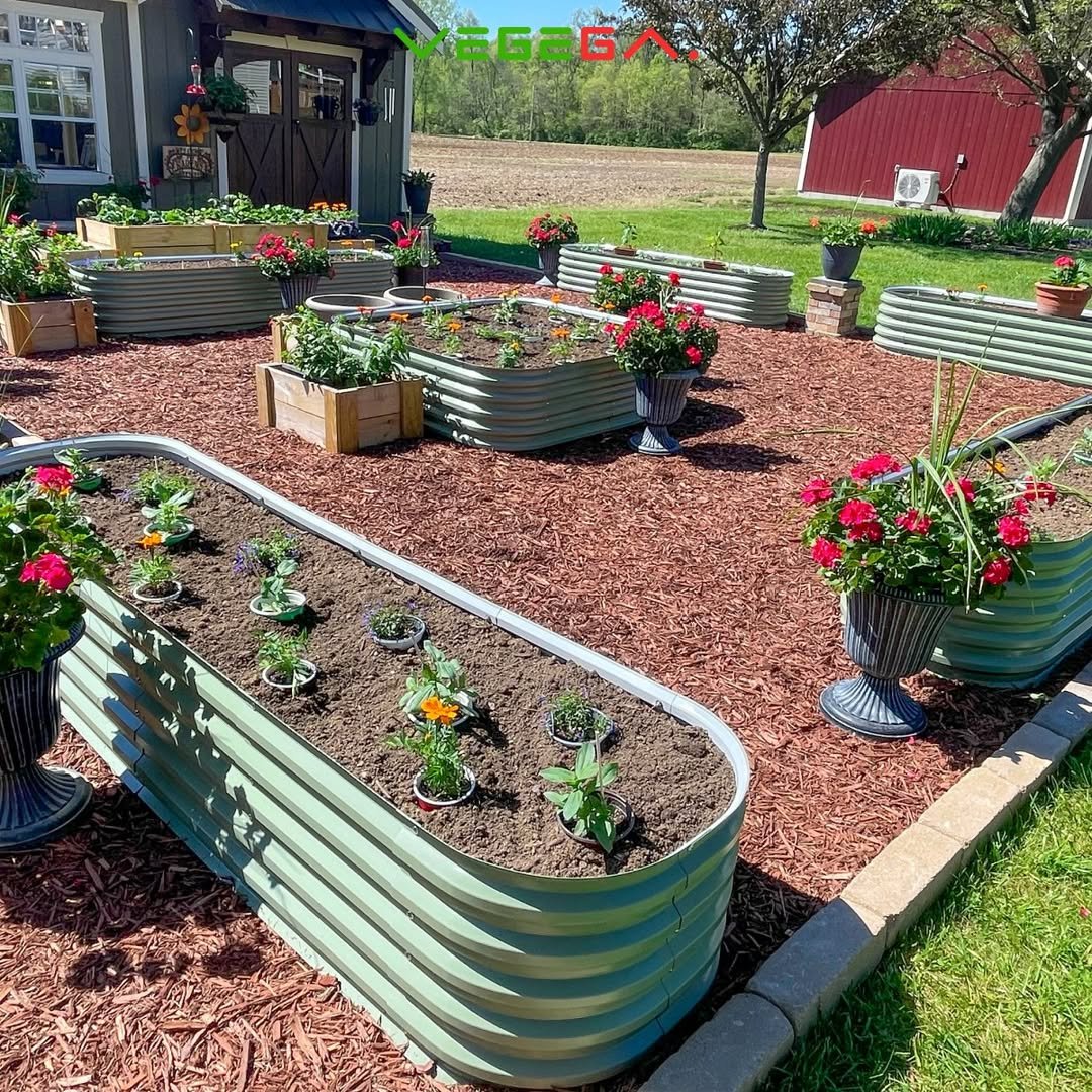 Raised Garden Beds in Tiny Backyard Design