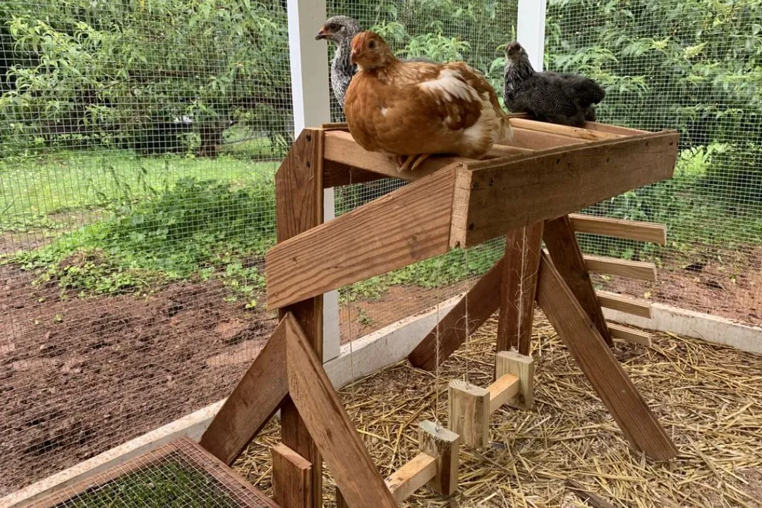 Repurposed Furniture