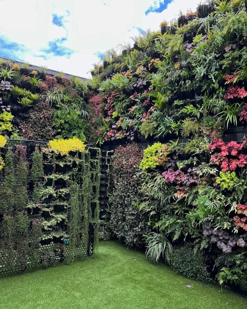 Vertical Gardens for Tiny Backyard