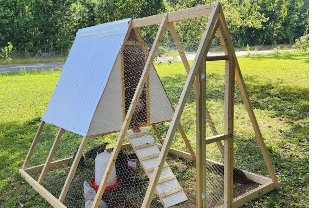 A-Frame Chicken Coop