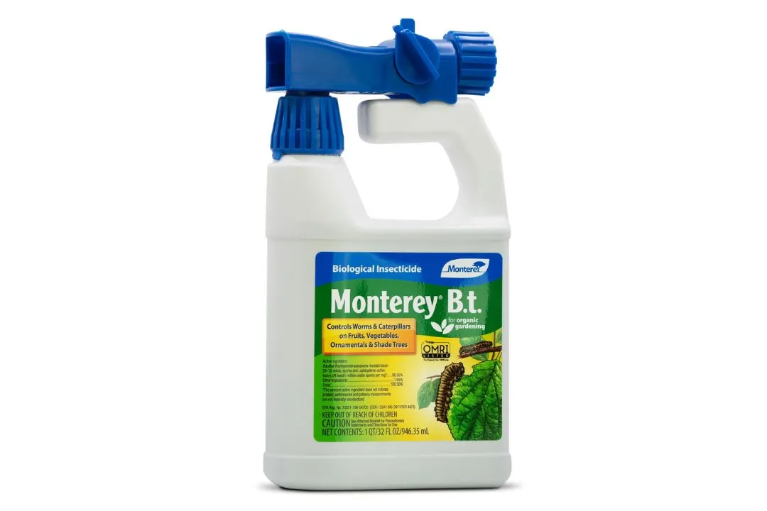 Bacillus Thuringiensis (BT): The Organic Caterpillar Killer