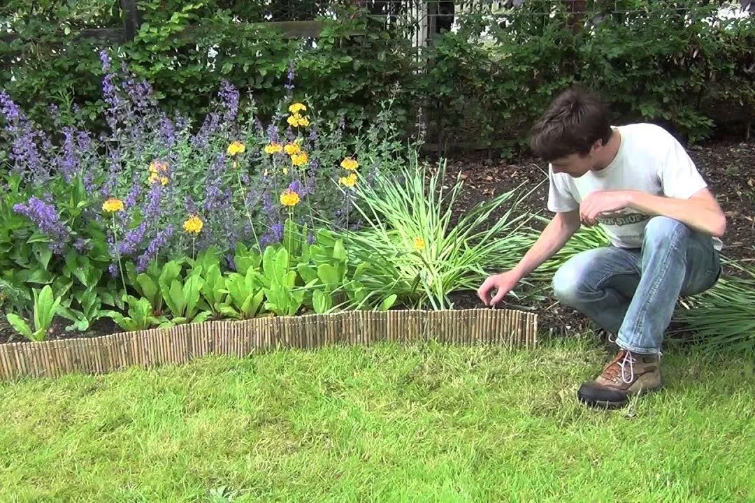 Bamboo Border Bed