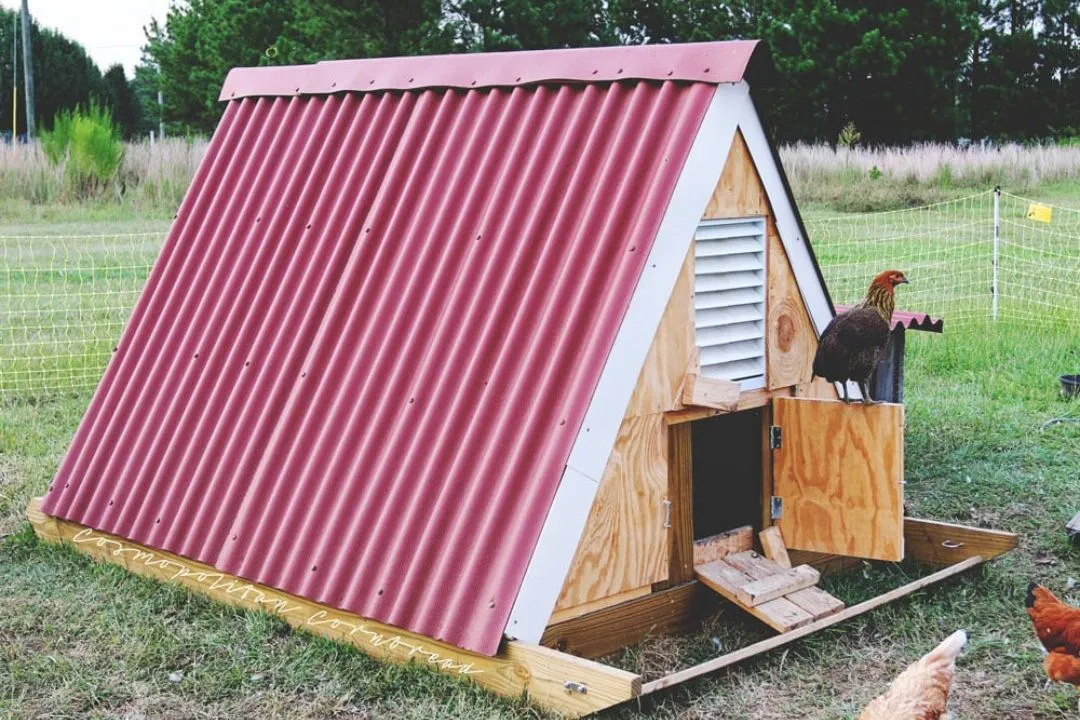 Basic A-frame Pallet Coop