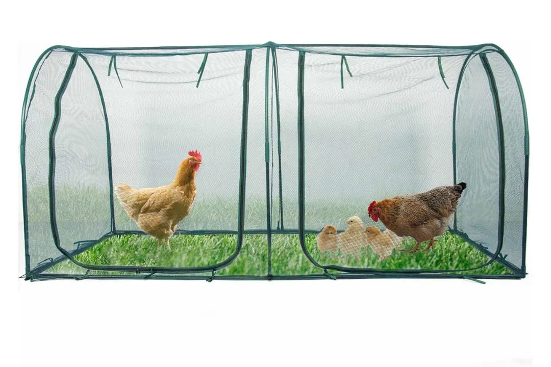 Portable Chicken Run