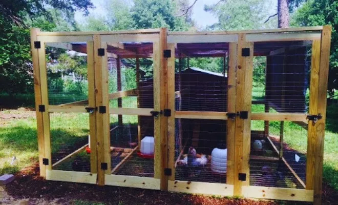 15 Chicken Breeding Pen Ideas (Space-Saving to Eco-Friendly!)