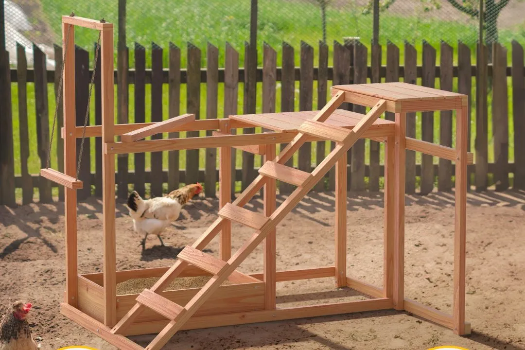 Chicken Run with Perches and Toys