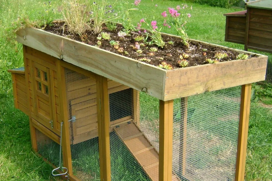 Chicken Run with Rooftop Garden