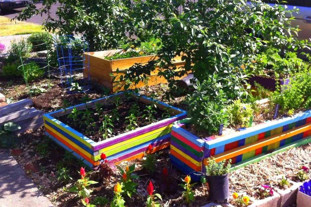 Colorful Raised Beds