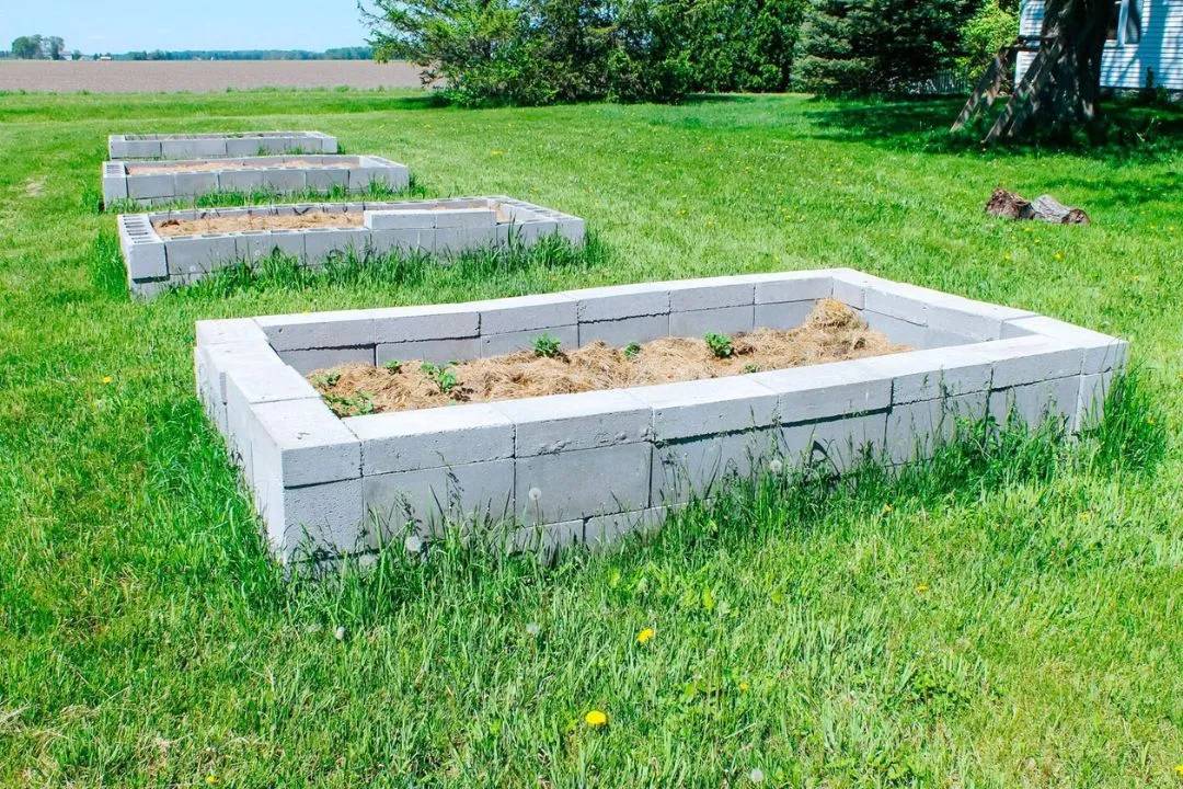 Concrete Block Border