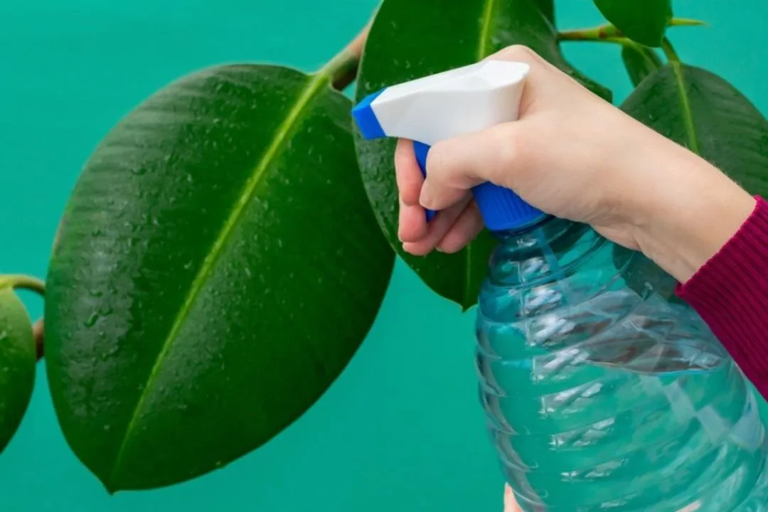 Create Homemade Soap Spray