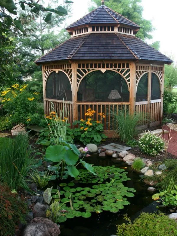 Creative Structures for Backyard