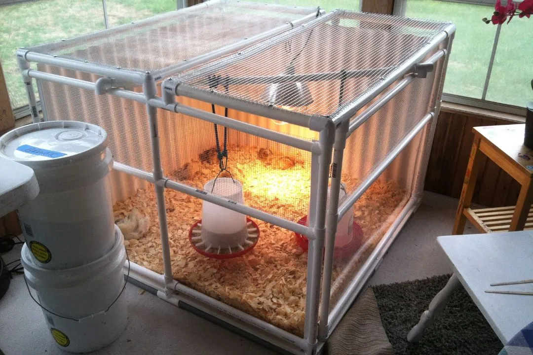 DIY PVC Pipe Brooder