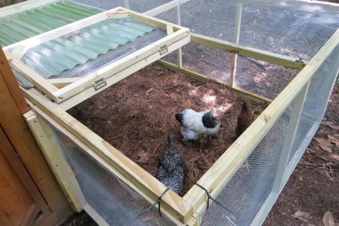 DIY Pallet Chicken Run