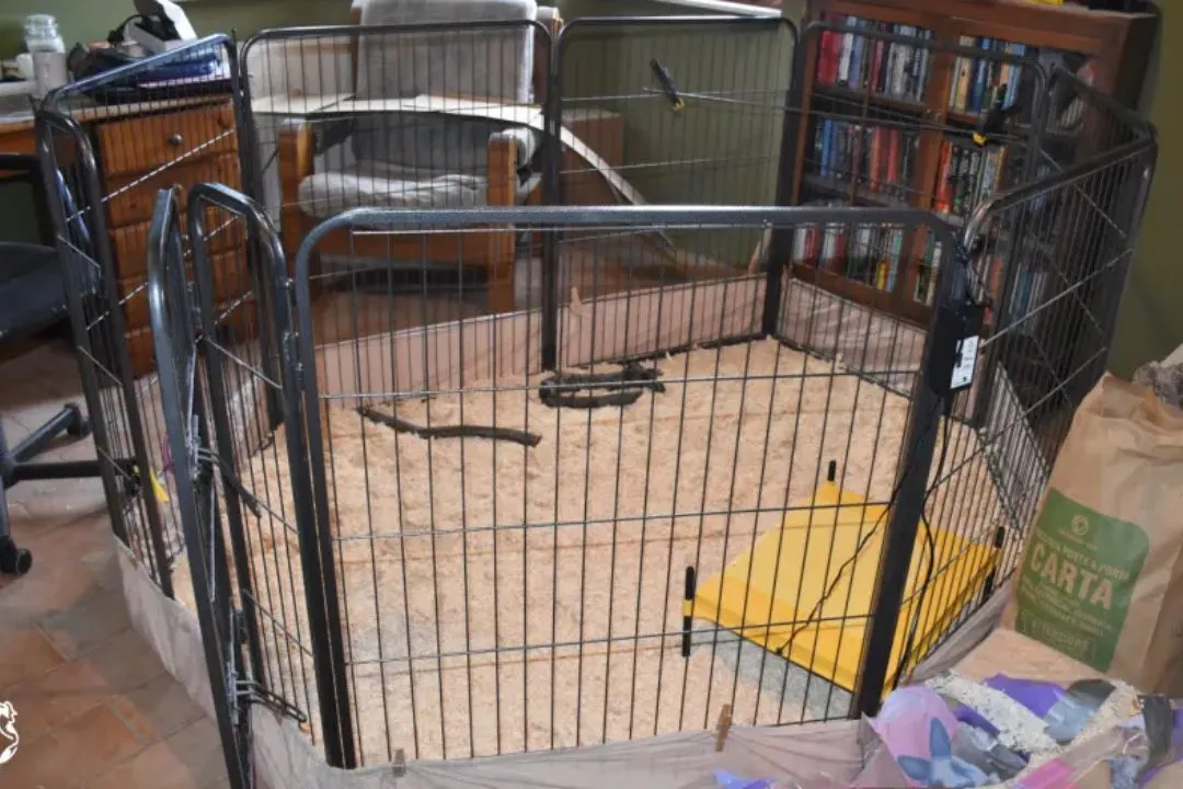 Dog Playpen Brooder
