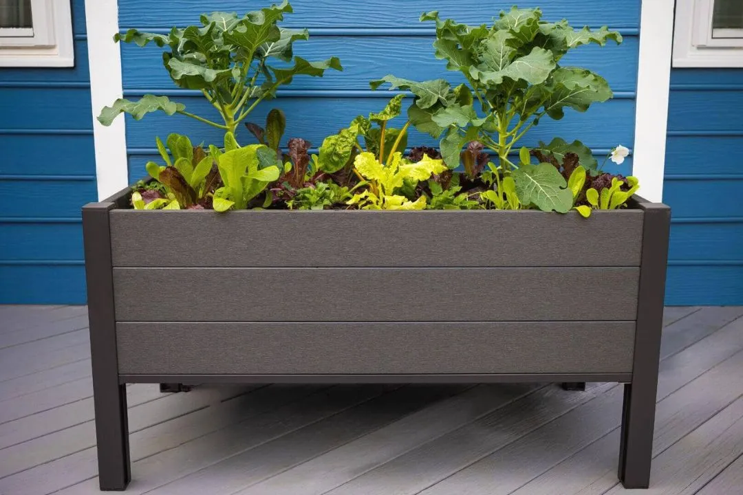 Elevated Planter Boxes