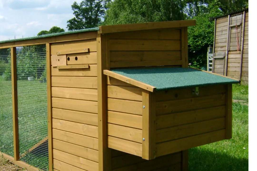 Enclosed Chicken Run with Green Roof