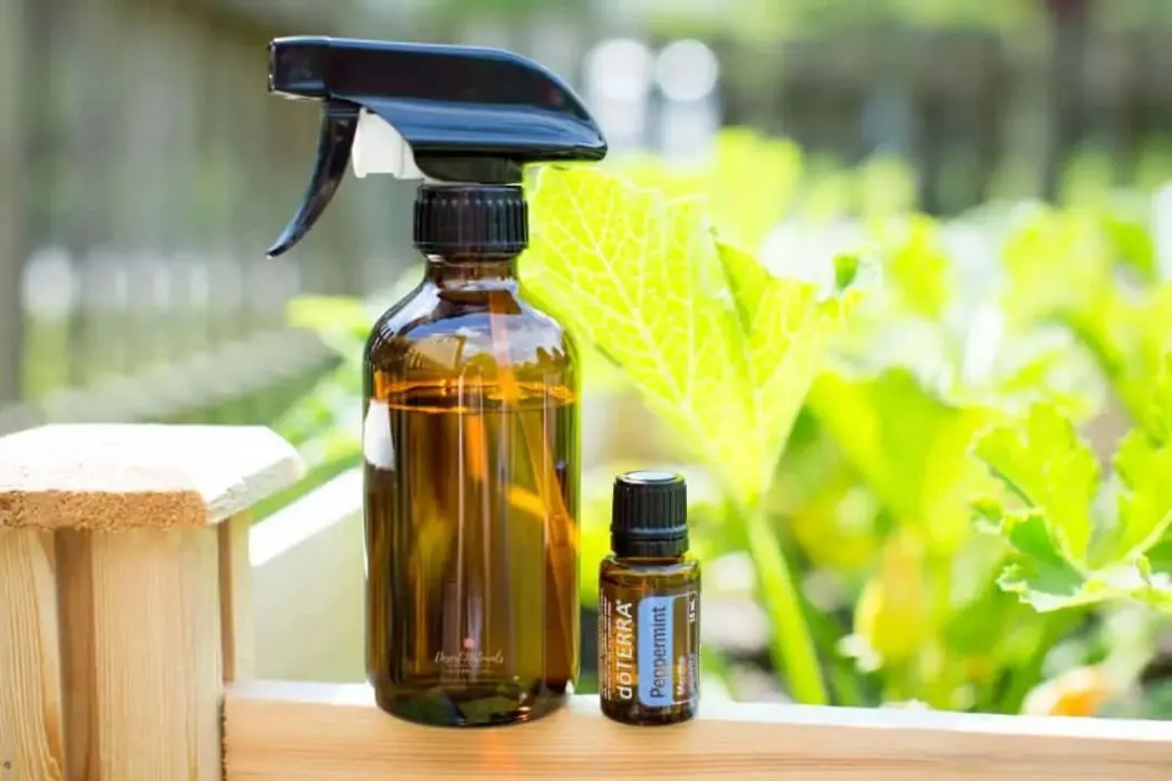 Essential Oils: Nature’s Pest Fighters