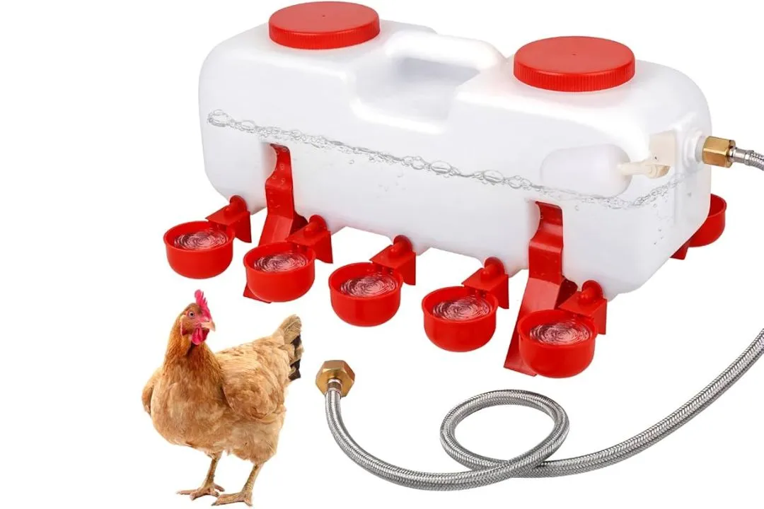 Floating Water Jug Feeder