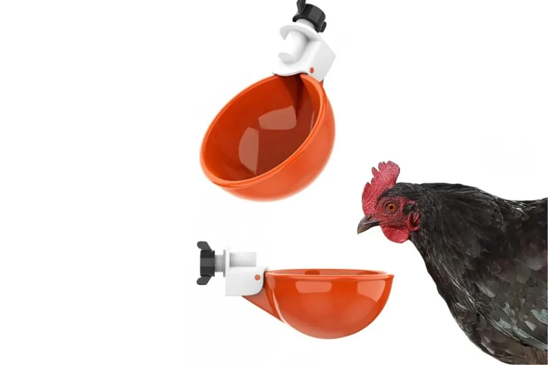 Gravity-Fed Waterer