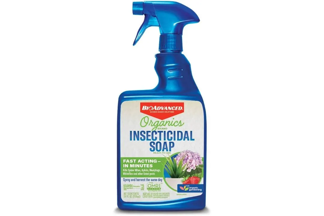 Insecticidal Soap: Gentle Yet Effective