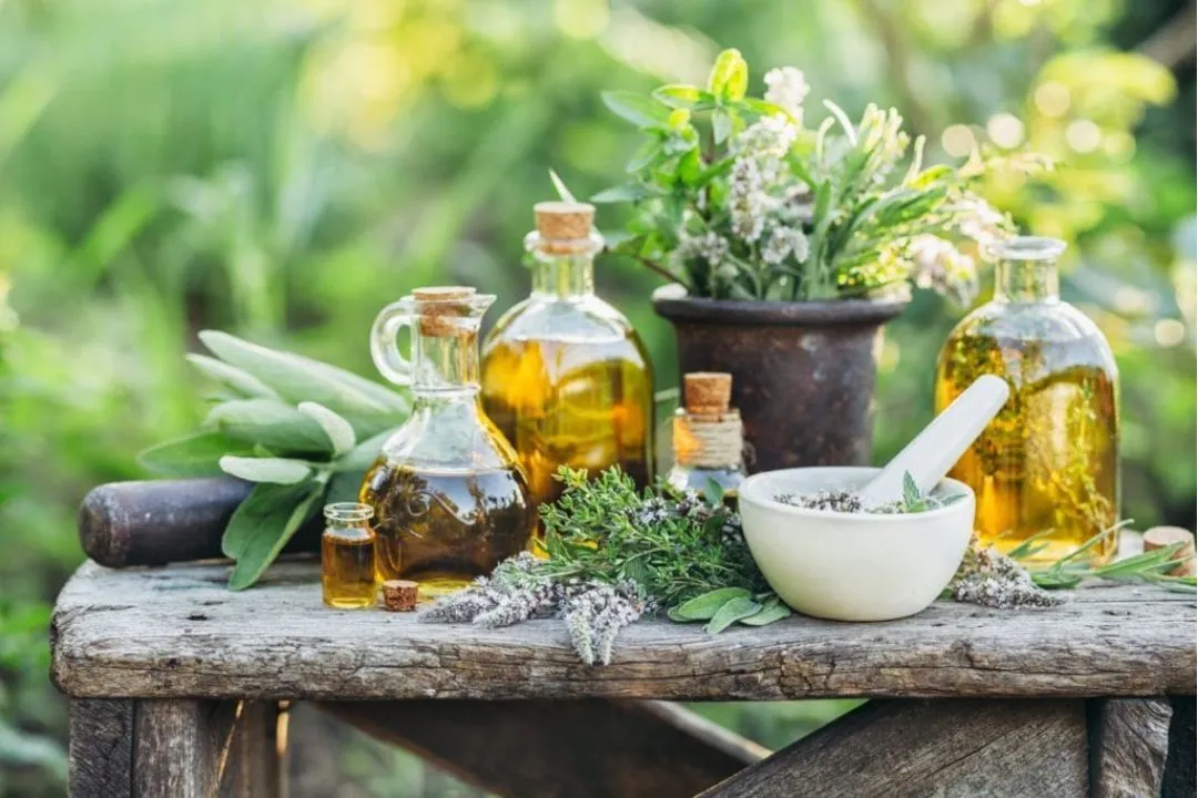 Introduce Essential Oils