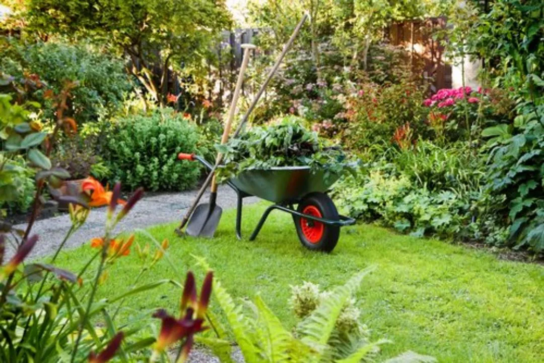 Keep Your Garden Clean