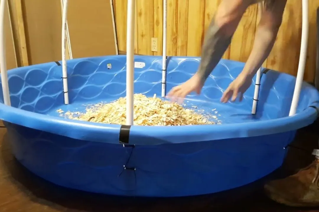 Kiddie Pool Brooder