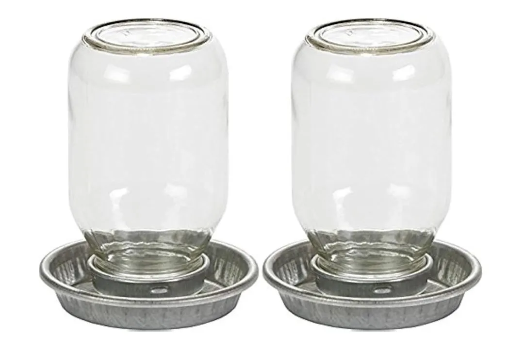 Mason Jar Waterer