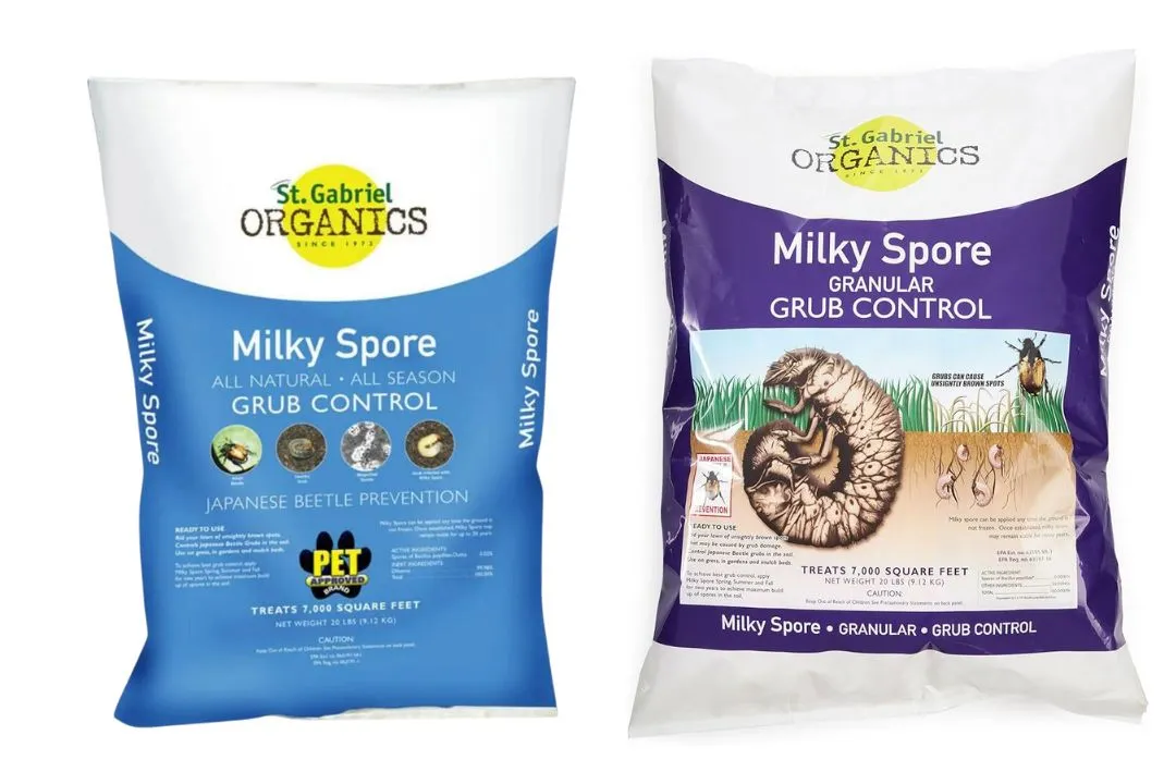 Milky Spore: A Natural Grub Control