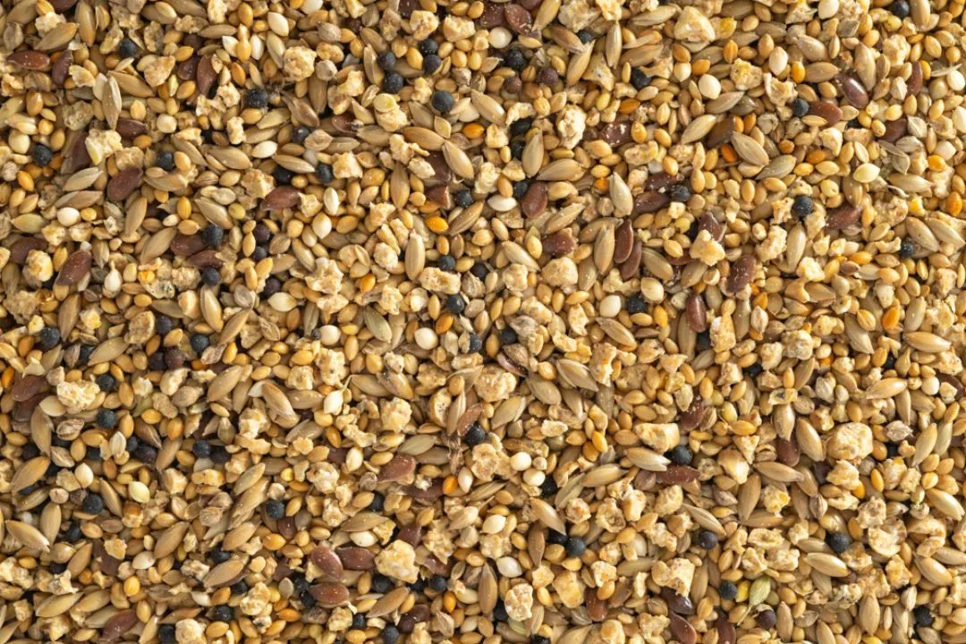Mix the Dry Ingredients