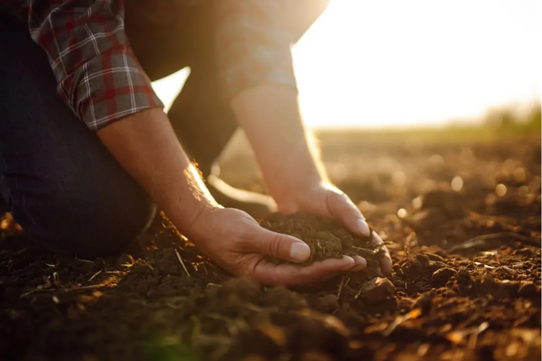 Monitor Soil Health