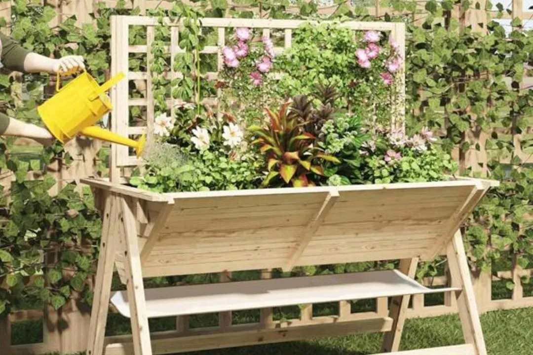 Multi-functional Raised Beds