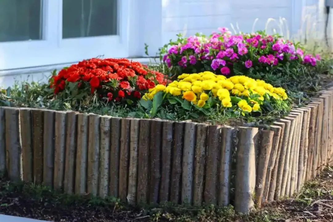 Natural Log Border