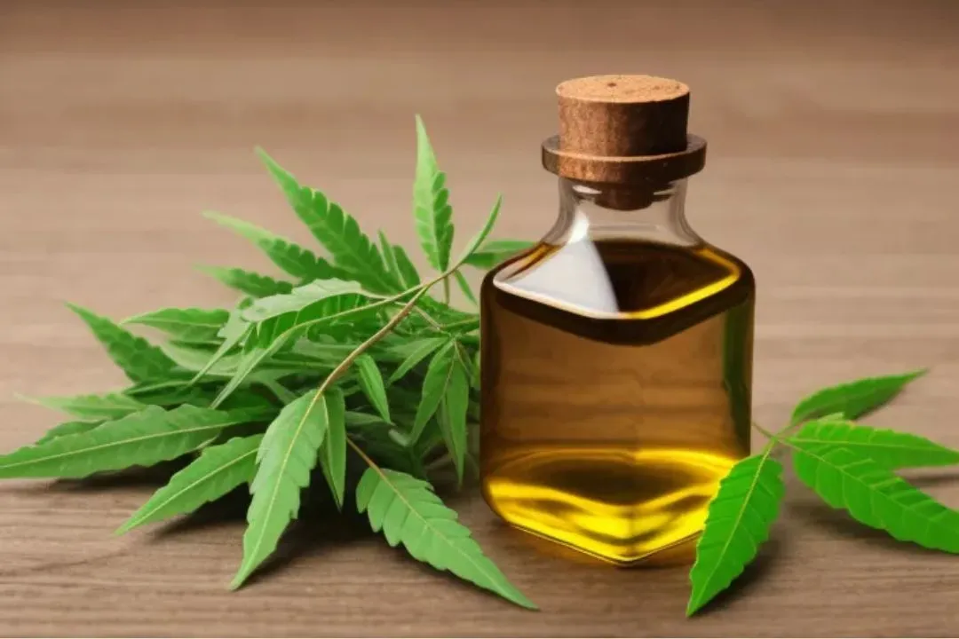 Neem Oil: A Multi-Purpose Miracle