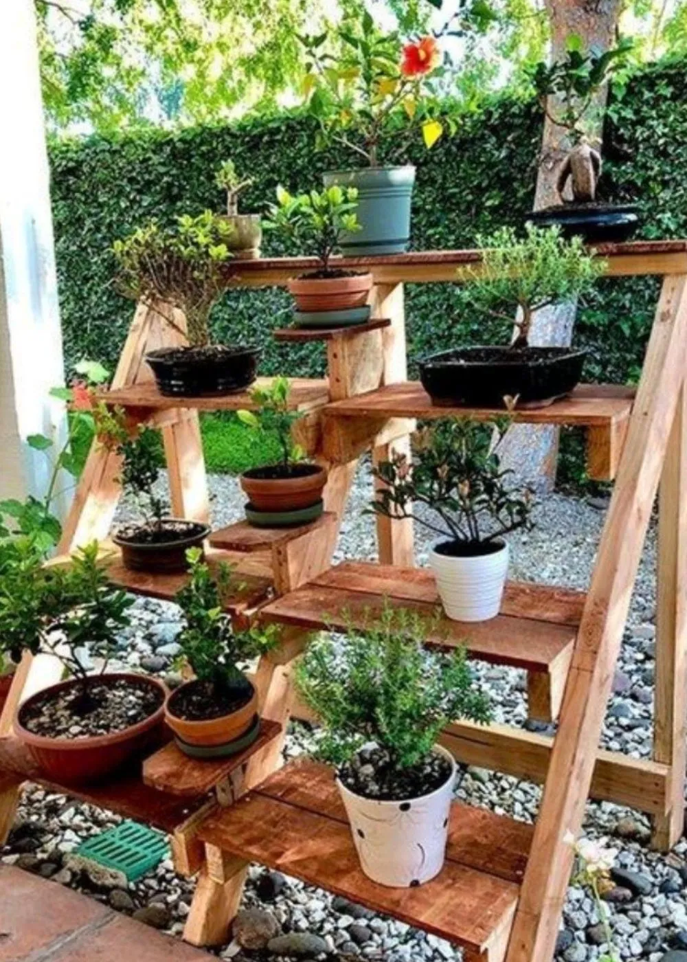 Outdoor Shelving with Plants