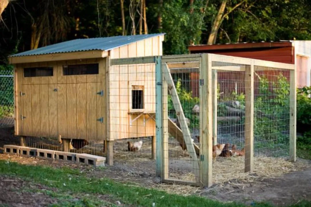 Pallet Coop with Fold-down Door