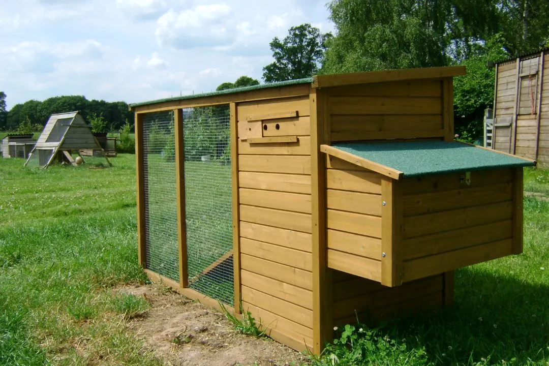 Pallet Coop with Green Roof