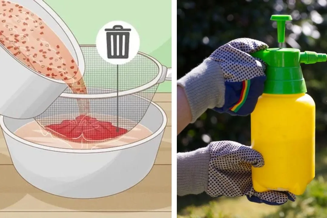 Pepper Spray: Hot Defense Against Pests