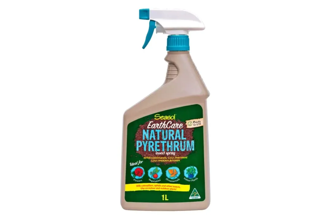 Pyrethrin: Fast-Acting Insect Control
