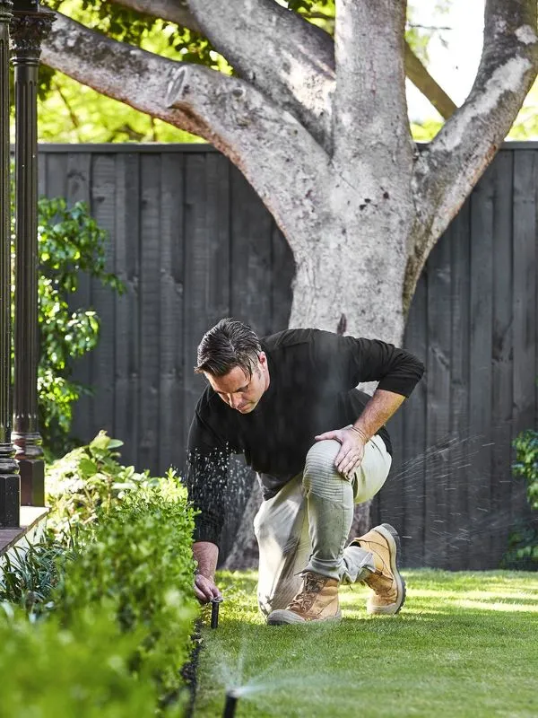 Regular Maintenance for Backyard